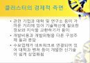 클러스터의 개념, 클러스터의 의의, 클러스터란, 산업클러스터 정책, 산업클러스터 결정 요인 8페이지