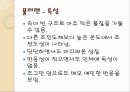 탄소의 결합구조 다양성에 따른 신소재 ppt 6페이지
