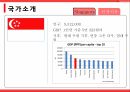 휴대용 태양광 충전기의 싱가포르진출 ppt
 5페이지