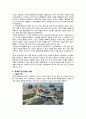 해외의 도시재생 사례 및 국내의 도시재생 사례 6페이지