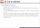 N번방 사건 정리, 대응방침 및 디지털 성범죄 예방방안[디지털 성범죄,사이버 성범죄,디지털 성폭행,성폭력,N번방] 22페이지