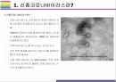 신종코로나바이러스가 가져온 변화 그리고 신종문화 [코로나,코로나바이러스COV-19,신종코로나,언택트,화상회의,재택근무] 3페이지
