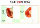 채소, 야채 프로젝트 9페이지