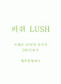 러쉬 LUSH 마케팅 4P전략 분석과 SWOT분석 1페이지
