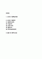 샤오미 기업핵심역량과 경영전략분석 및 향후시사점 연구 2페이지