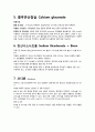 응급약물 레포트 4페이지