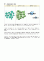 기성세대vs신세대vs밀레니얼세대_뉴스데이터를 활용한 분석보고서 21페이지