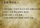 대중문화,대중 문화론,대중 문화 연구,대중 문화 정치성,헤게모니론,포스트모더니즘론,계급문화론,이데올로기론,문화주의론 15페이지