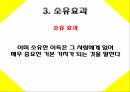 베르누이의 오류,전망 이론,소유 효과,4중 패턴,프레임과 현실,상대적 기준,위험회피,알레의 역설,결정가중치 17페이지