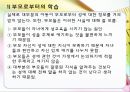 성혁명,성문화,성(Sex),신체적 성,젠더,섹슈얼리티,성욕구,남성의 생식기,여성의 생식기,생식구조,성의 과학,자위행위,혼전 성행위 12페이지