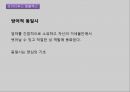 프로이트,프로이트의 이중 욕구,프로이트(Freud)이론,프로이트(Freud)의식,융의 의식 분류,원자아,반사 행동,자아방어기제 28페이지