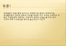 한국의 다문화 사회,기능론과 갈등론,한국 사회의 다문화,막스 베버의 이념형,기능론적 관점,갈등론적 관점,다문화 사회란 27페이지