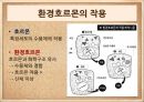 환경호르몬,모유와 환경호르몬,모유와 분유,모유 수유찬성,모유 수유 반대,환경호르몬의 정의,환경호르몬의 작용,환경호르몬의 특징 5페이지