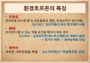 환경호르몬,모유와 환경호르몬,모유와 분유,모유 수유찬성,모유 수유 반대,환경호르몬의 정의,환경호르몬의 작용,환경호르몬의 특징 6페이지