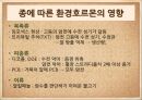 환경호르몬,모유와 환경호르몬,모유와 분유,모유 수유찬성,모유 수유 반대,환경호르몬의 정의,환경호르몬의 작용,환경호르몬의 특징 10페이지