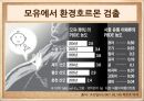 환경호르몬,모유와 환경호르몬,모유와 분유,모유 수유찬성,모유 수유 반대,환경호르몬의 정의,환경호르몬의 작용,환경호르몬의 특징 14페이지
