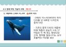 생체모방기술,생체모방기술의 개념,생체모방기술의 분류,생체 모방 사례,이스트게이트 센터,바이오 에너지,동물행동모방 12페이지