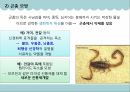 생체모방기술,생체모방기술의 개념,생체모방기술의 분류,생체 모방 사례,이스트게이트 센터,바이오 에너지,동물행동모방 20페이지