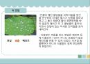 생체모방기술,생체모방기술의 개념,생체모방기술의 분류,생체 모방 사례,이스트게이트 센터,바이오 에너지,동물행동모방 25페이지