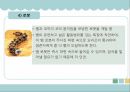 생체모방기술,생체모방기술의 개념,생체모방기술의 분류,생체 모방 사례,이스트게이트 센터,바이오 에너지,동물행동모방 27페이지