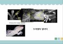 생체모방기술,생체모방기술의 개념,생체모방기술의 분류,생체 모방 사례,이스트게이트 센터,바이오 에너지,동물행동모방 28페이지