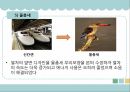 생체모방기술,생체모방기술의 개념,생체모방기술의 분류,생체 모방 사례,이스트게이트 센터,바이오 에너지,동물행동모방 29페이지