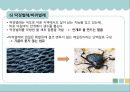 생체모방기술,생체모방기술의 개념,생체모방기술의 분류,생체 모방 사례,이스트게이트 센터,바이오 에너지,동물행동모방 31페이지