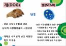 서비스마케팅,착한 마케팅,코즈 마케팅,SWOT분석,마케팅 전략,미투데이 SWOT,BCG 매트릭스,BCG 매트릭스란,BCG 매트릭스 장점 30페이지