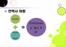 안락사 논란,안락사란,안락사의 분류,안락사 논란,안락사 정의,생존의 윤리성 5페이지