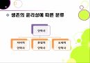 안락사 논란,안락사란,안락사의 분류,안락사 논란,안락사 정의,생존의 윤리성 11페이지