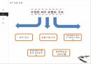 의약분업 제도,ACF 모형,의약분업이란,의약분업의 유형,ACF 모형 설명 11페이지