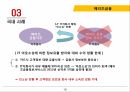 인소싱,아웃소싱,백소싱,리쇼어링,온쇼어링,국내 인소싱,라이트소싱,크라우드소싱,크라우드소싱 16페이지