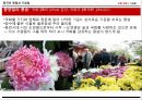 중국의 명절,춘절,원소절,한식과 청명절,단오절,중추절,중양절 19페이지