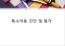 진단평가,진단평기의위치,특수교육,자료의표준화,진단평가도구,특수아동의이해 2페이지