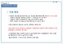 PPGIndustries,PPG,PPG기업소개,PPG시장분석,PPG국제경영사례,PPG경쟁기업분석,PPG향후전망 10페이지