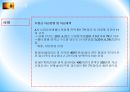 국가별 수출보험,수출보험 제도,수출보험제도의 사례,수출보험의 역사,수출보험법,중국 수출보험,EU국가 수출보험,프랑스 수출보험 20페이지