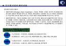 글로벌기업 해외진출 모형 해외시장 진입 방식 글로벌기업 해외진출 러그만의 단순  4페이지