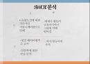 대한항공의 문화마케팅  19페이지