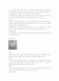 색채학 ) 본인이 갖고 있는 의복에서 4가지를 선정한 후, 이 의복의 주요 색채를 색의 3속성인 색상, 명도, 채도에 따라 설명 4페이지