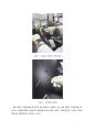 레포트 유리세공 4페이지
