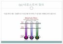 생명이란 생명 물리법칙 엔트로피 델브뤼크 모델 유전자의 구조 물질대사 엔트로피 통 19페이지