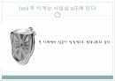 생명이란 생명 물리법칙 엔트로피 델브뤼크 모델 유전자의 구조 물질대사 엔트로피 통 20페이지