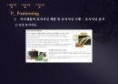 샴푸 마케팅원론 샴푸 제품소개 샴푸 환경분석 샴푸 마케팅목표 샴푸 STP전략 샴푸 탈 30페이지