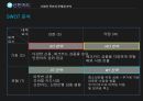 신한카드 신한카드재무분석 신한카드기업전략 신한카드인적자원관리전략 체크카드 SWO 28페이지
