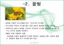 언어장치 동물의 커뮤니케이션 인간 언어 동물 의사소통 인지적 처리능력 동물의 언어 4페이지