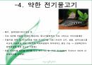언어장치 동물의 커뮤니케이션 인간 언어 동물 의사소통 인지적 처리능력 동물의 언어 6페이지