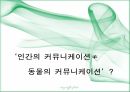 언어장치 동물의 커뮤니케이션 인간 언어 동물 의사소통 인지적 처리능력 동물의 언어 8페이지