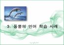 언어장치 동물의 커뮤니케이션 인간 언어 동물 의사소통 인지적 처리능력 동물의 언어 14페이지