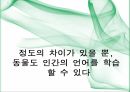 언어장치 동물의 커뮤니케이션 인간 언어 동물 의사소통 인지적 처리능력 동물의 언어 19페이지