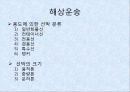 운송과 보험 해상운송 컨테이너 운송 운송 사례 해상보험 수출보험 해상보험의 종류 3페이지